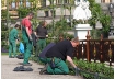 Beete Burggarten