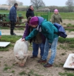 Schwein gehabt-zugesch_klein